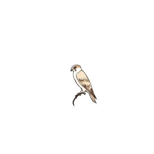 Anantanatha — Falcon emblem