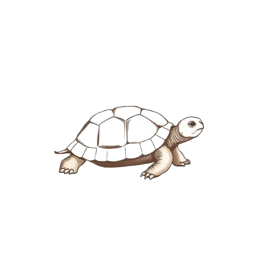 Munisuvrata — Tortoise emblem